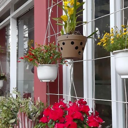 Homstay Thanh Son Chi Khu Co Ong Exterior foto